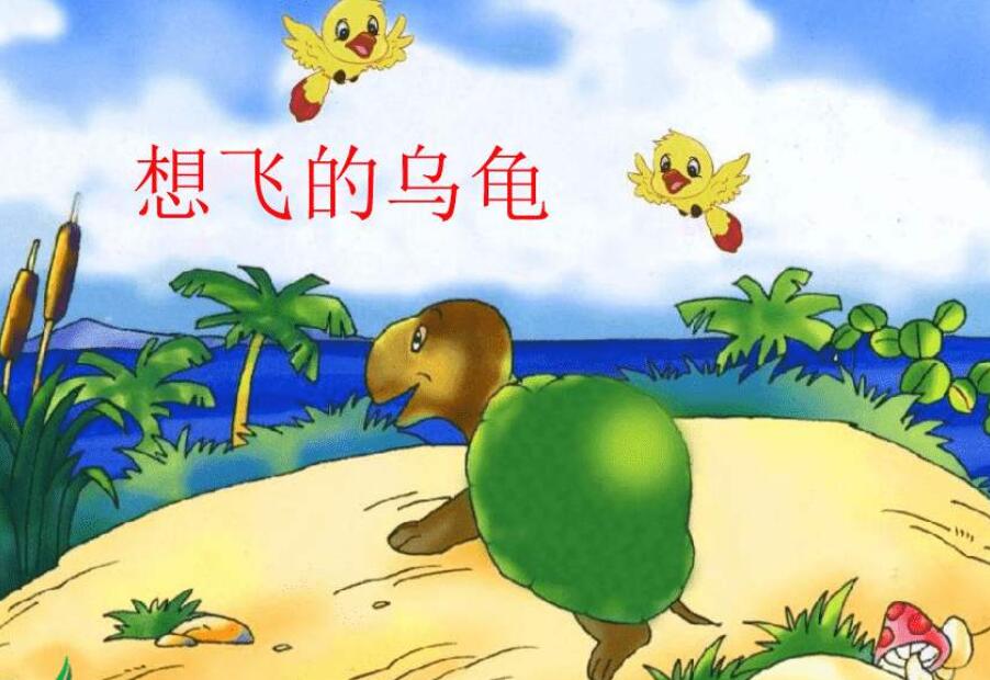 《想飞的乌龟》读后感400字