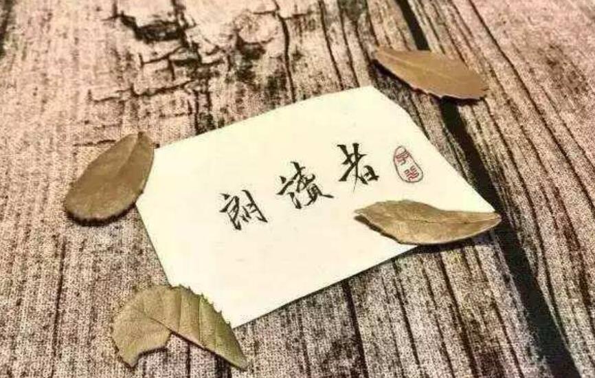 《朗读者》读后感1000字