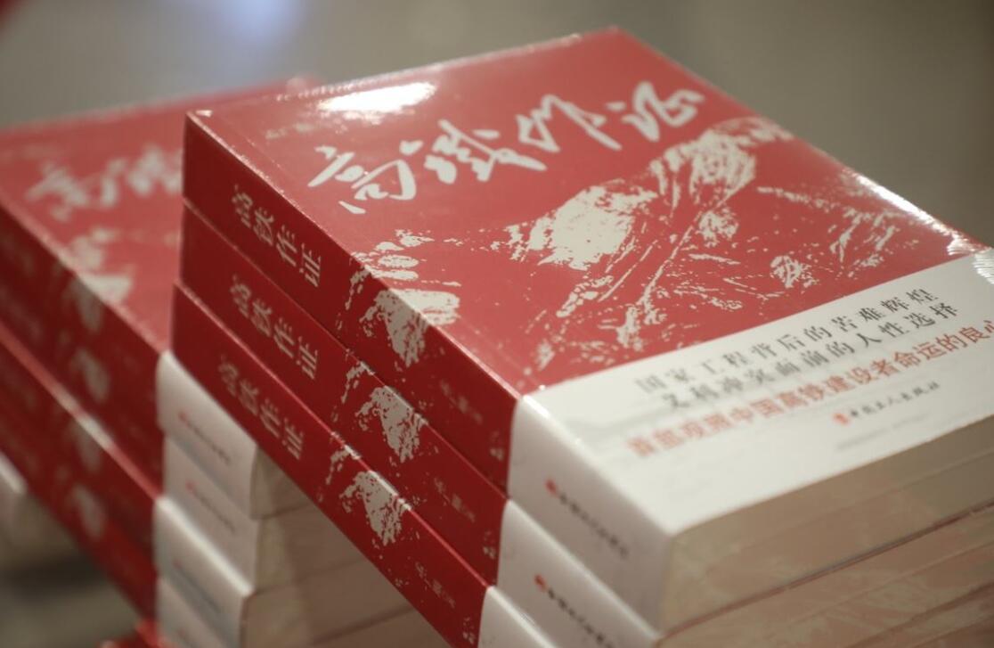 《高铁作证》读后感1000字