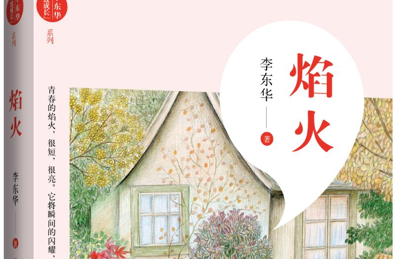 《焰火》读后感800字