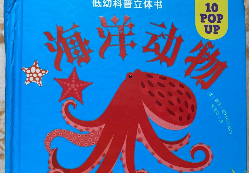 《海洋动物》读后感200字