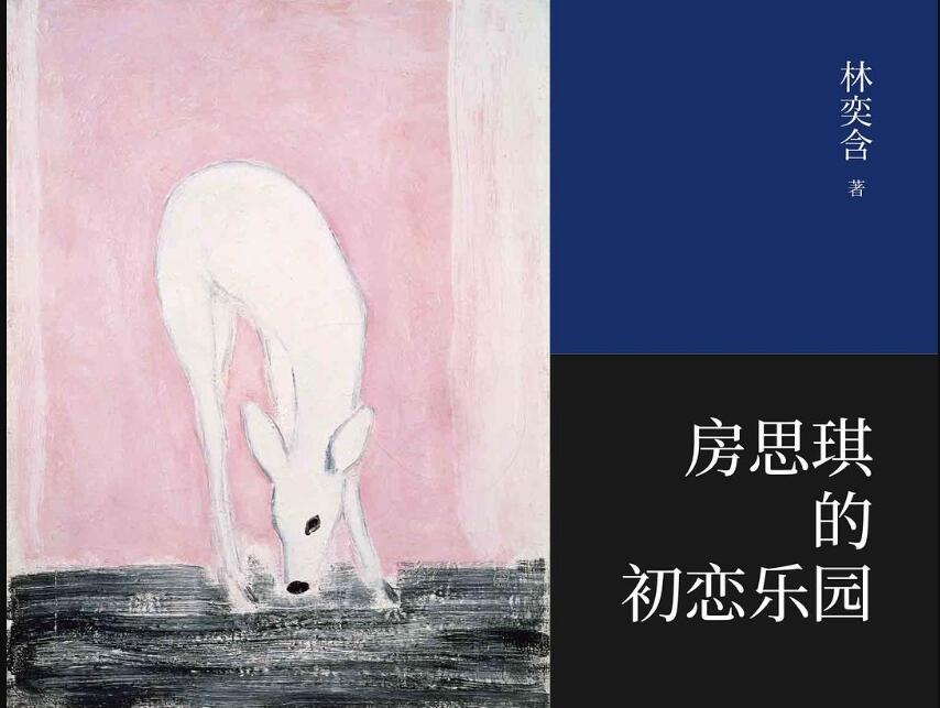 《房思琪的初恋乐园》读后感800字