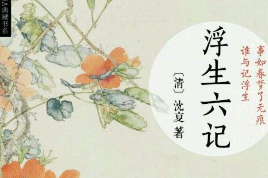 《浮生六记》读后感100字