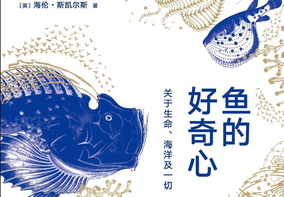 《鱼的好奇心》.jpg