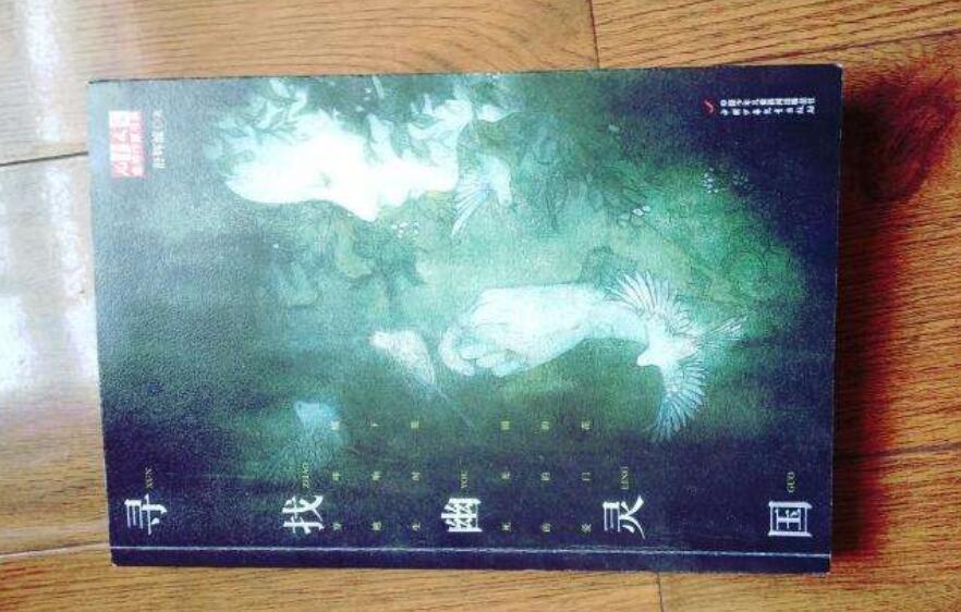 《寻找幽灵国》.jpg
