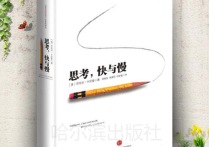 《思考，快与慢》读后感2000字