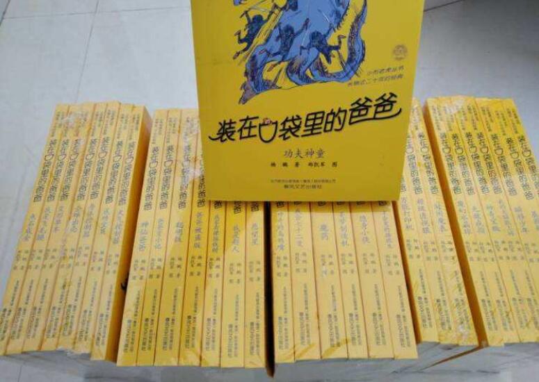《装在口袋里的爸爸》读后感200字