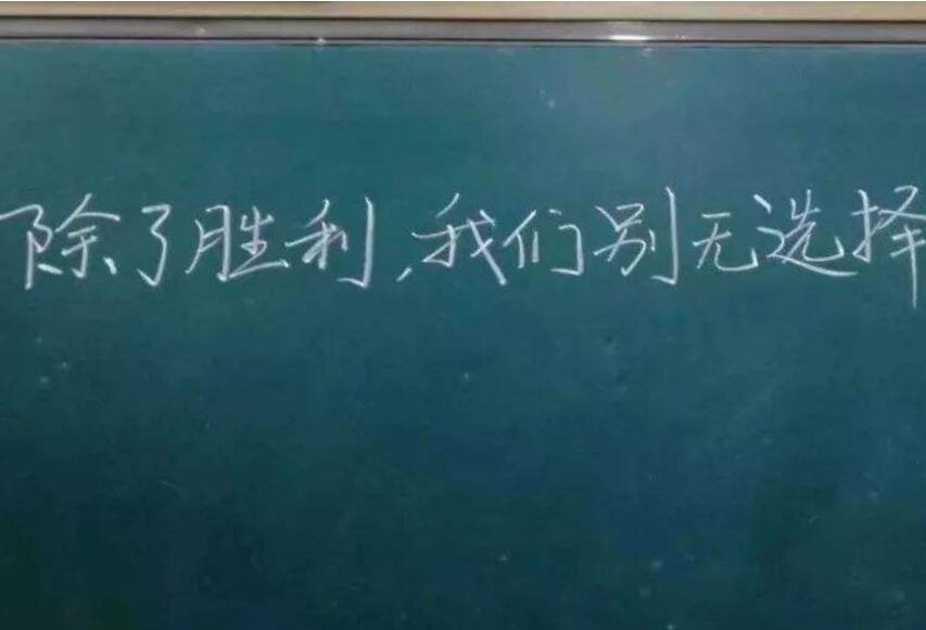 《除了胜利，我们别无选择》读后感1000字