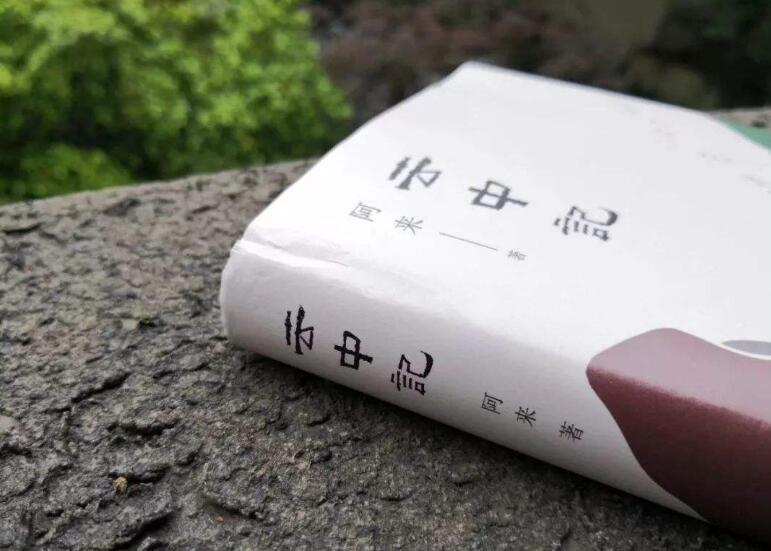 云中记读后感500字