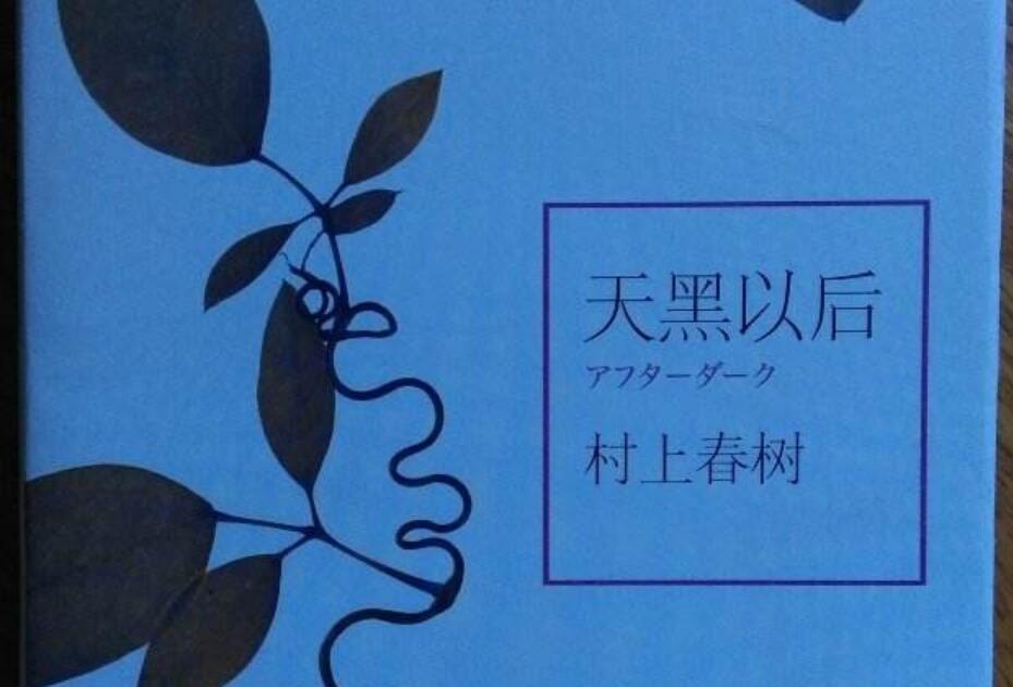 《天黑以后》读后感1000字