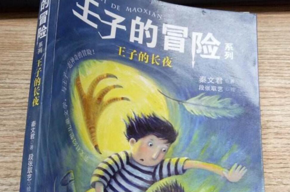 《王子的冒险》读后感600字_长夜-奇境-密使