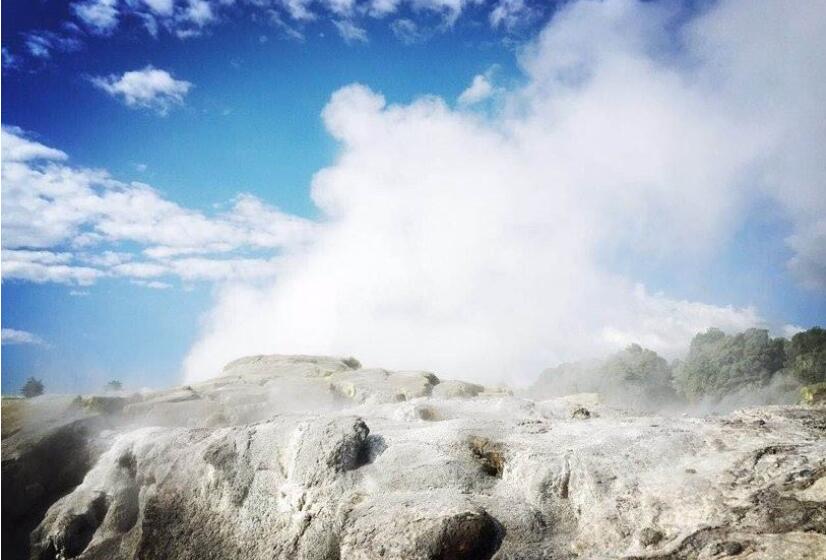 倾听大自然的心跳作文400字