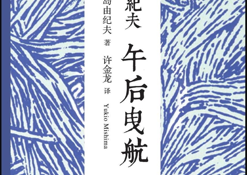《午后曳航》读后感500字