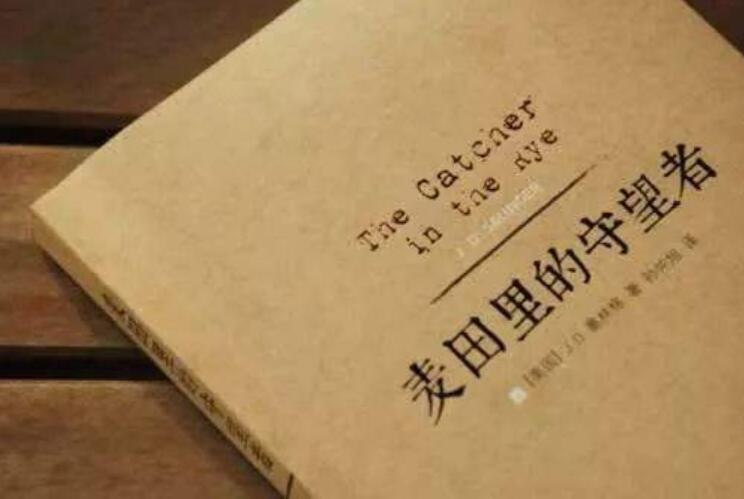 《麦田里的守望者》读后感400字
