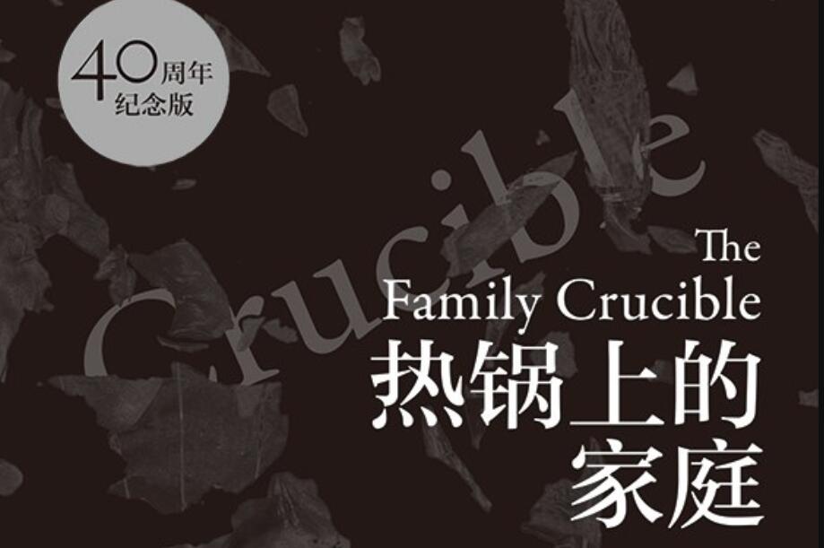 《热锅上的家庭》读后感2000字