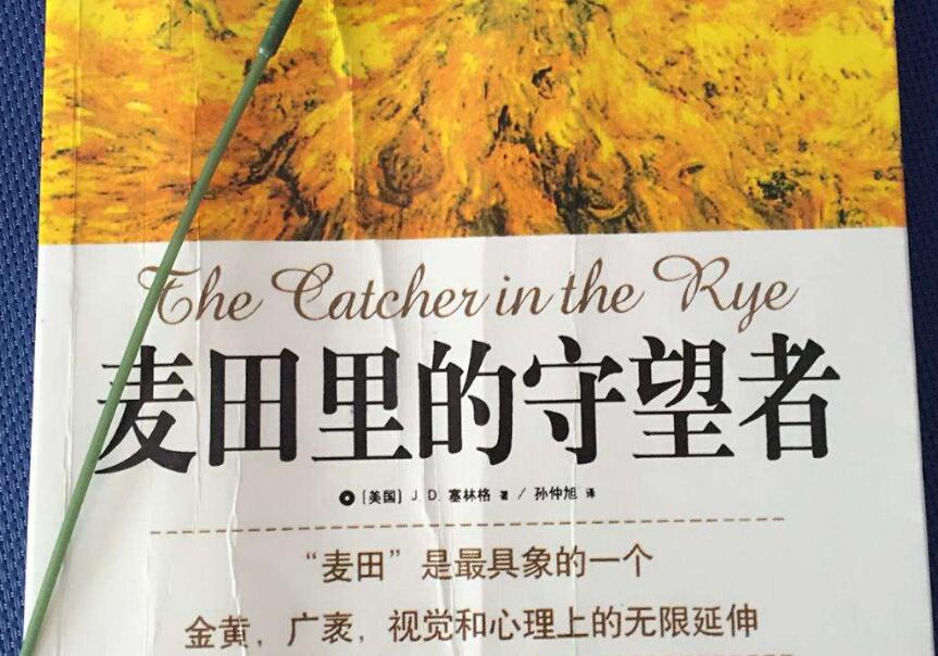 《麦田里的守望者》读后感450字