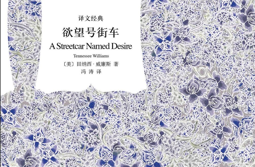 《欲望号街车》读后感600字