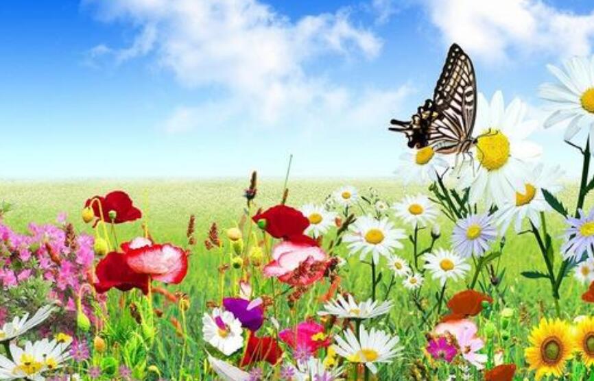 美丽的四季作文700字