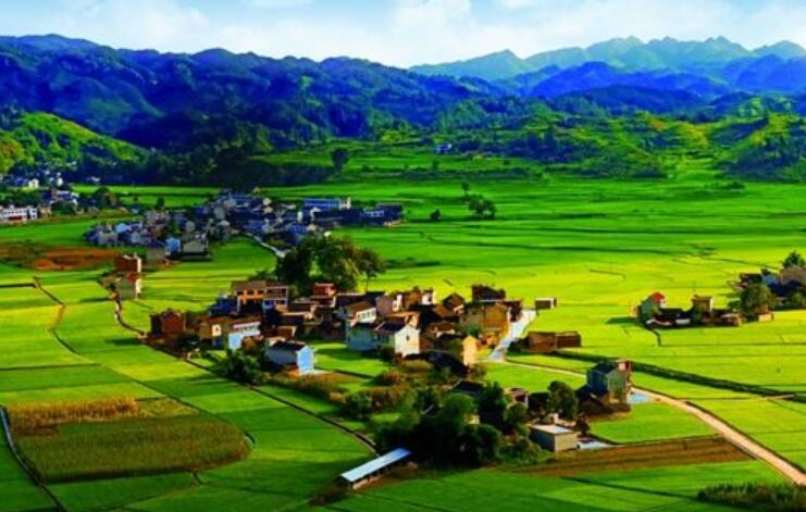 美丽的乡村作文350字