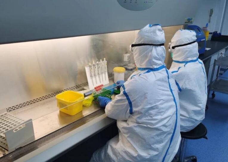 第一次做核酸检测作文350字