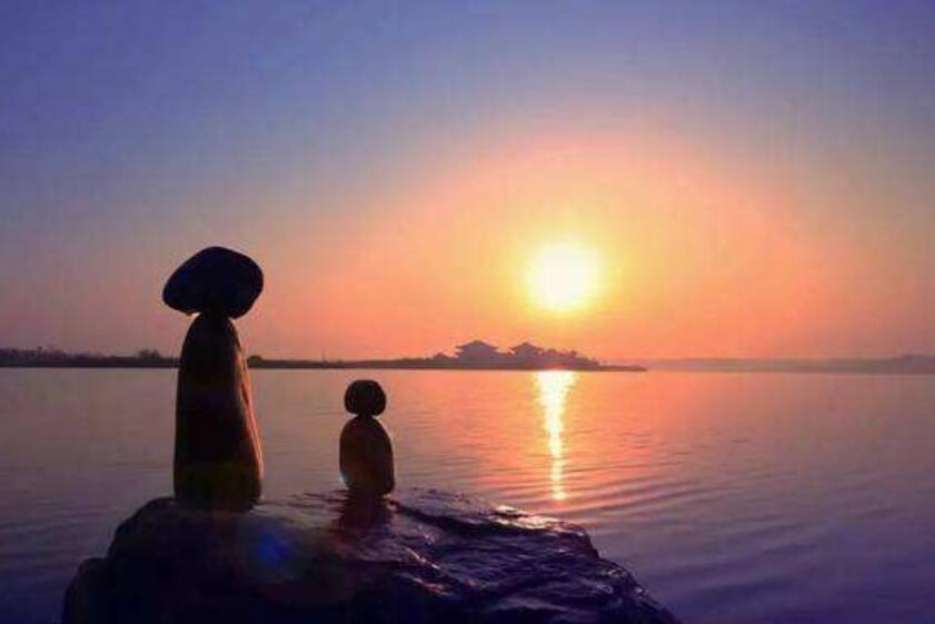 意外的惊喜作文450字五年级