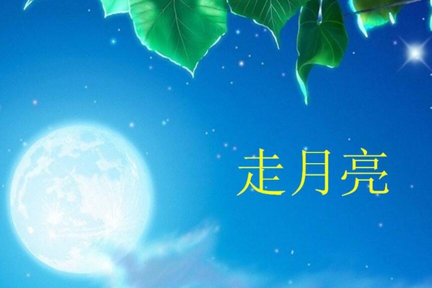 仿写走月亮作文600字