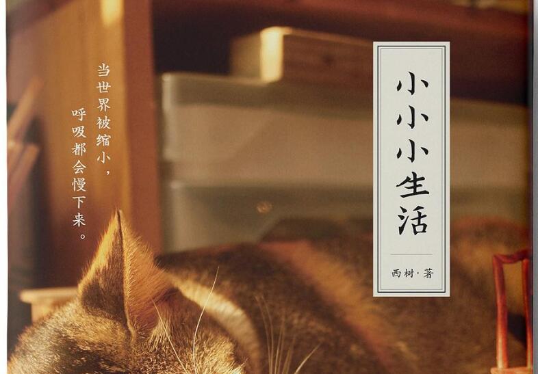 《小小小生活》.jpg 《小小小生活》.jpg