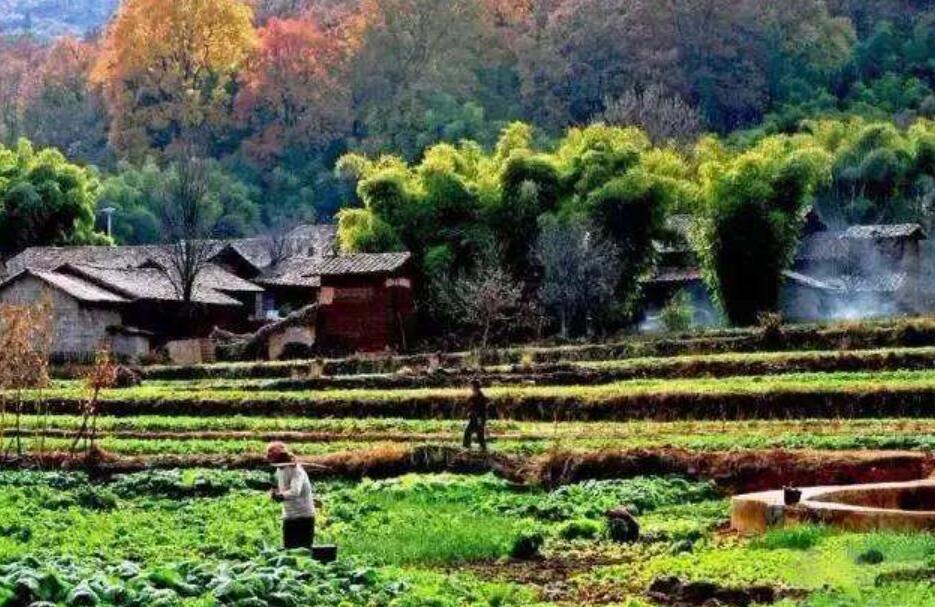 乡村生活.jpg 乡村生活.jpg