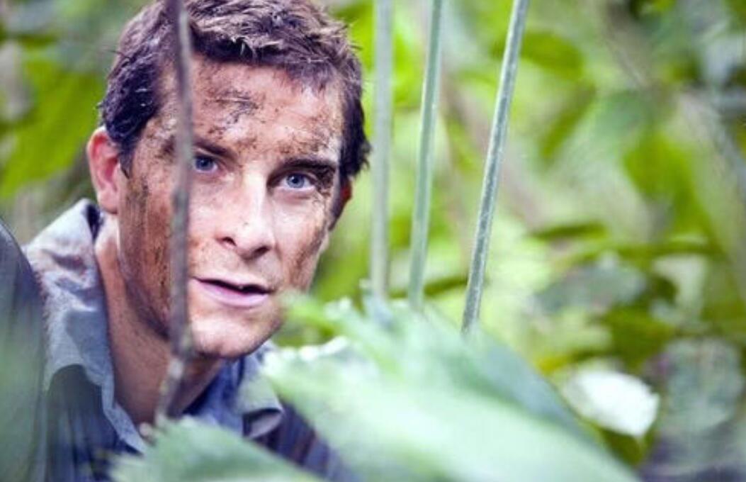 荒野求生作文800字想象作文