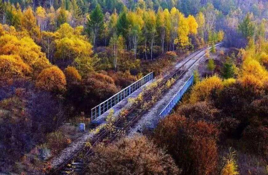 温暖的旅程.jpg 温暖的旅程.jpg