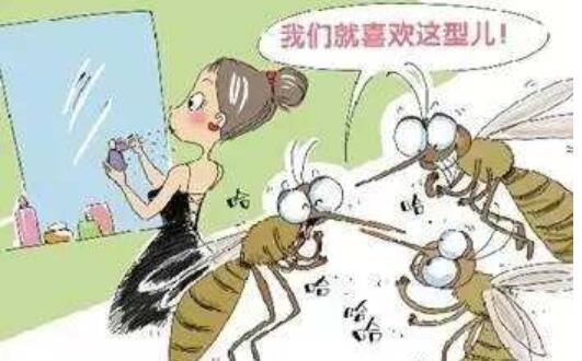 人蚊大战作文800字