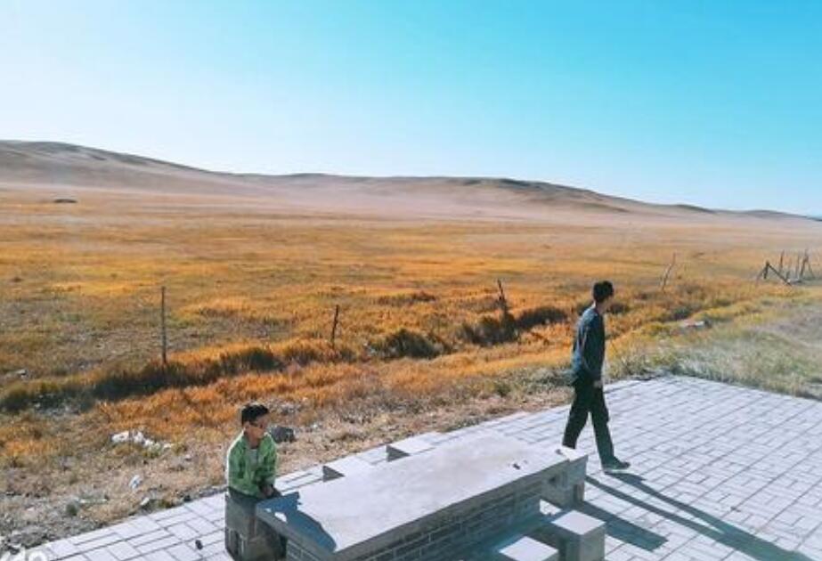 老家之行作文500字