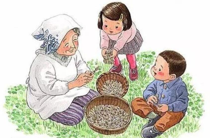 分别作文400字六年级