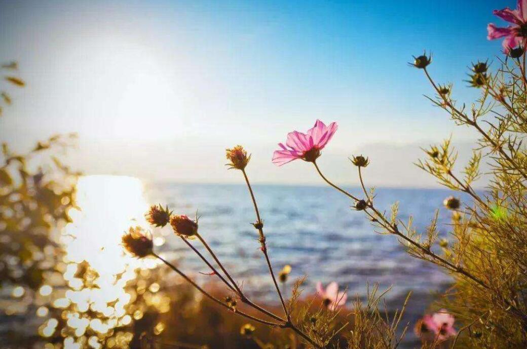 偶尔停下来作文600字初三