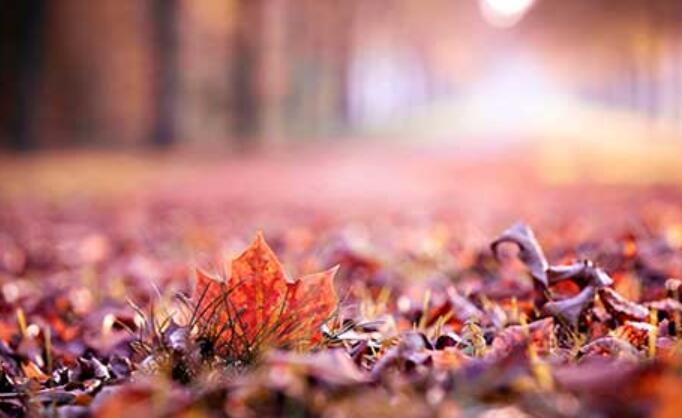 回味作文700字初三