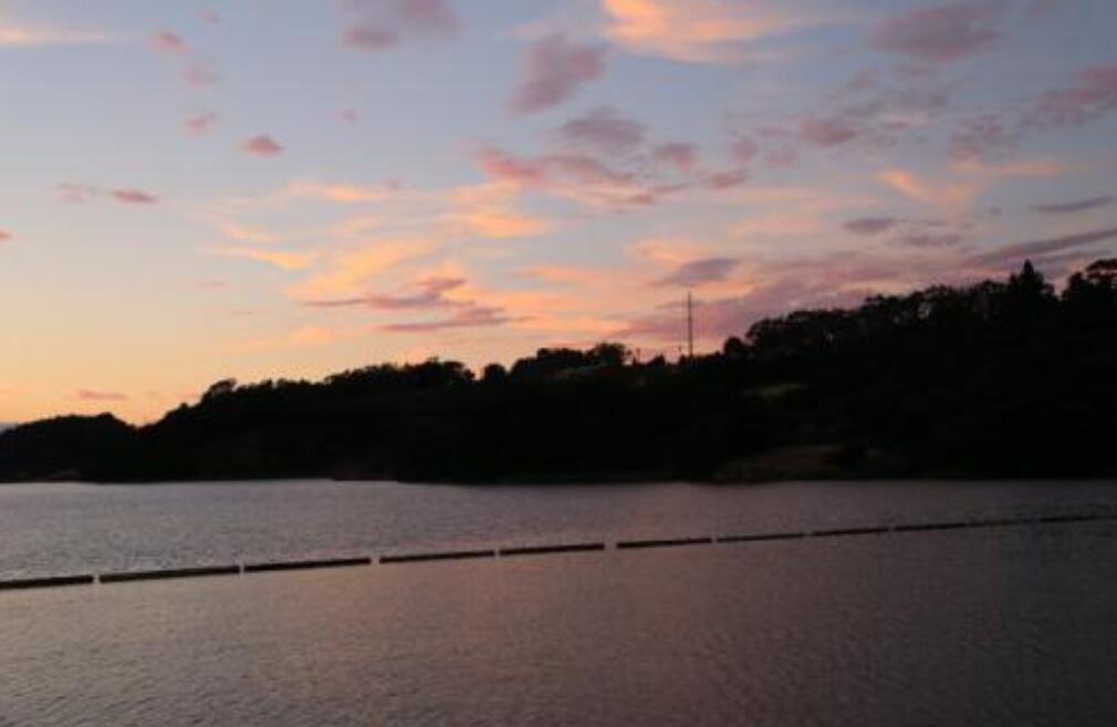 我看到的夏天傍晚的景色作文500字