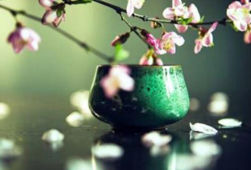 苦趣作文800初三