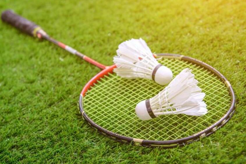 打羽毛球作文600字