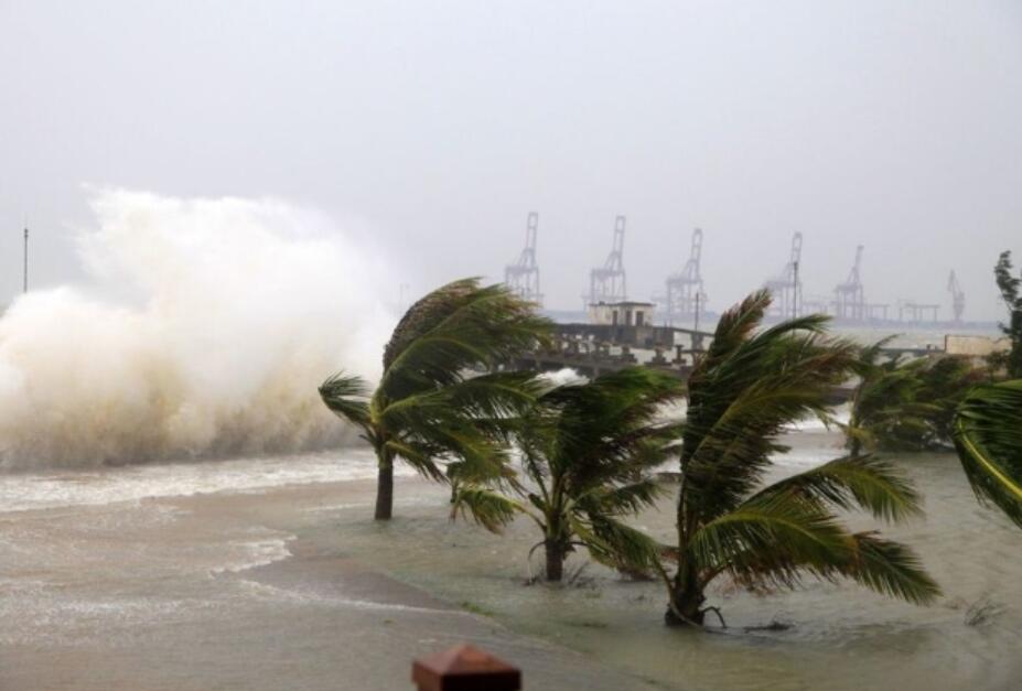台风作文600字初中