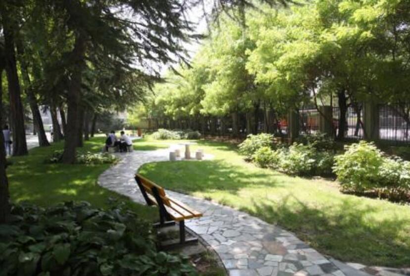 校园一角作文500字