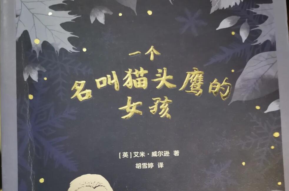 《一个名叫猫头鹰的女孩》.jpg 《一个名叫猫头鹰的女孩》.jpg