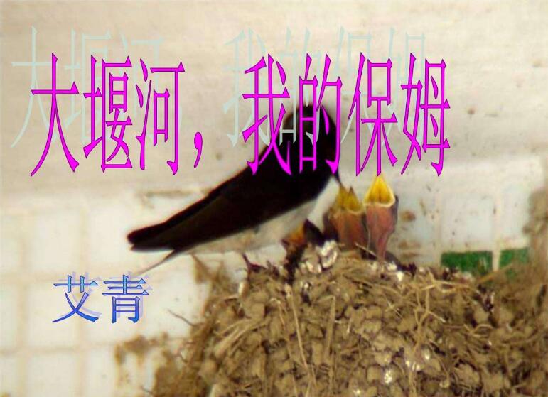 《大堪河——我的保姆》.jpg 《大堪河——我的保姆》.jpg