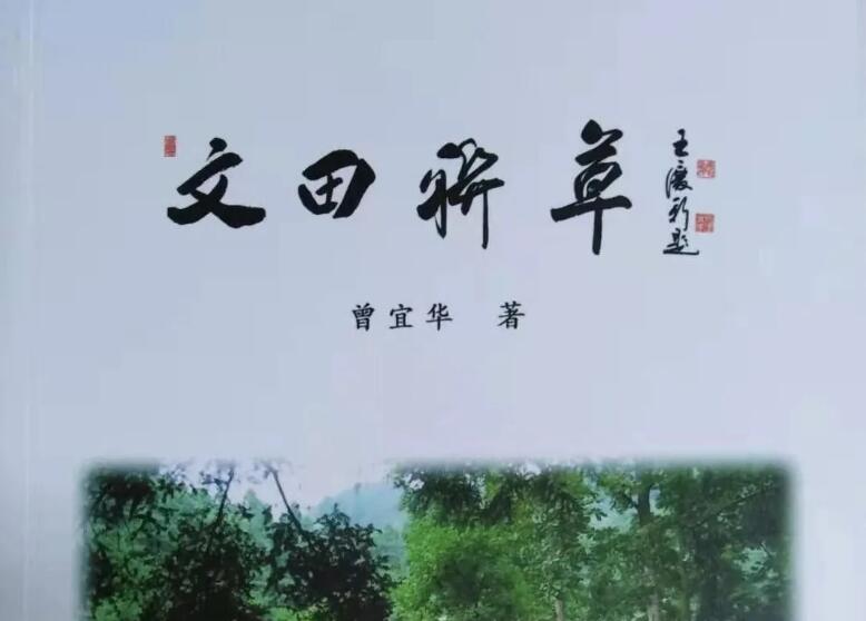 《文田联草》书籍.jpg