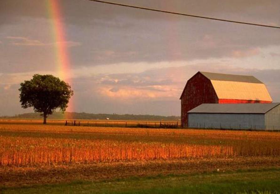 《野生的村庄》.jpg 《野生的村庄》.jpg