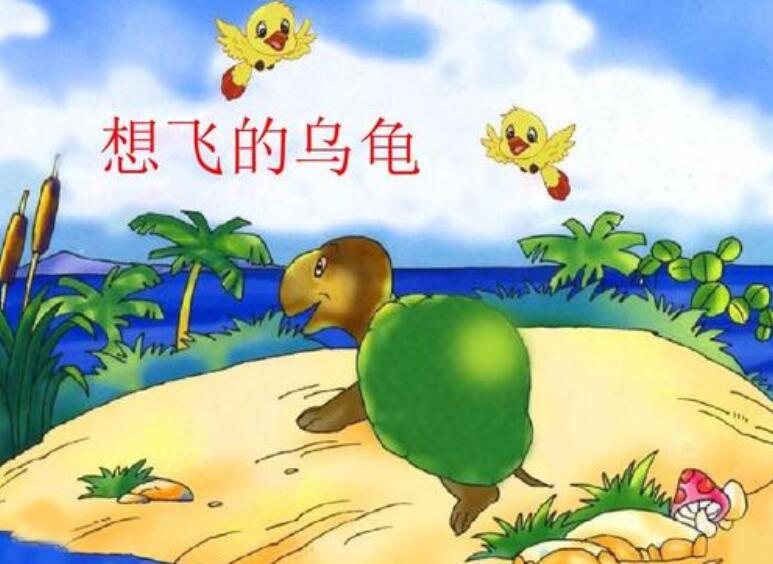 《想飞的乌龟》.jpg 《想飞的乌龟》.jpg