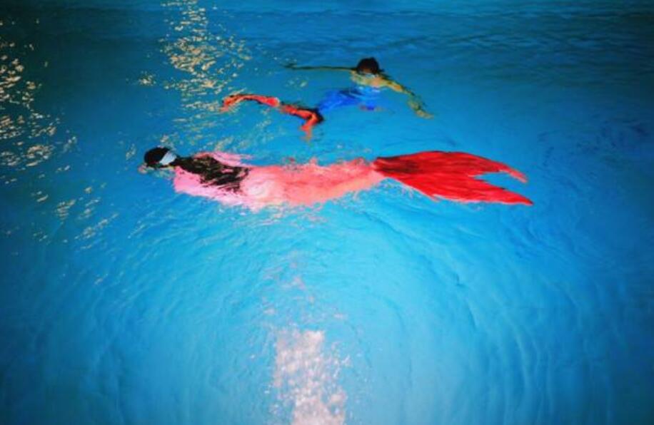 我想变成一条鱼作文400字