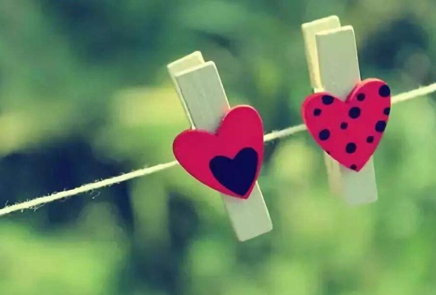 一颗闪光的心作文600字