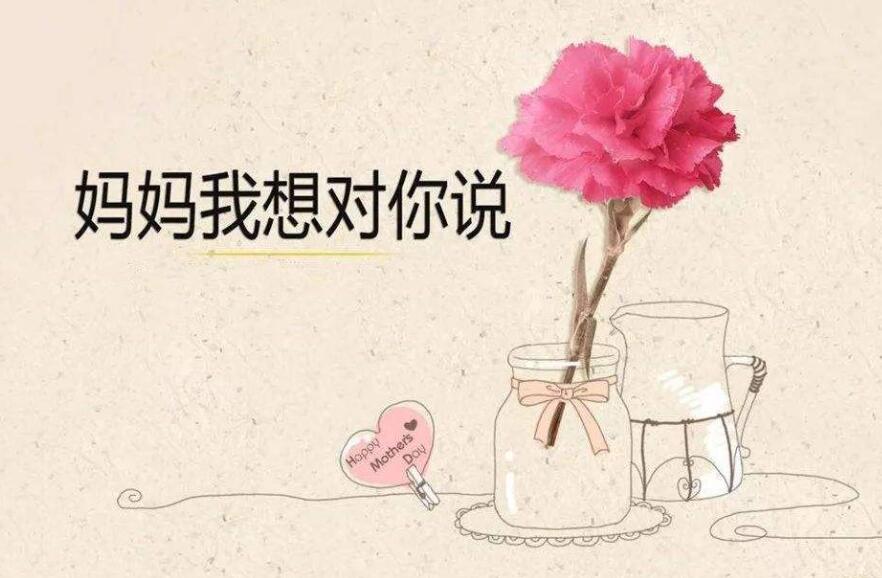 妈妈我想对你说作文800字