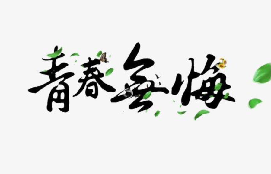 青春无悔作文800字初中