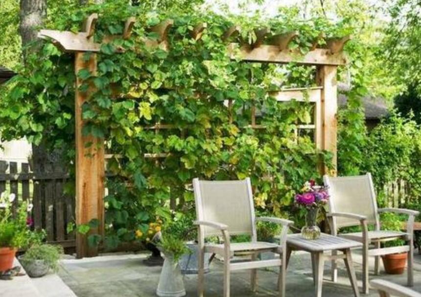 写一处家乡的美景作文400字